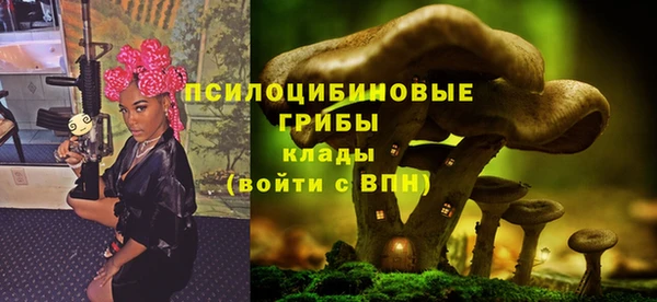 гашиш Магас